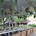 ☀️ Vara asta te asteptam la Complex Poienita din Costinesti! 🌊🍹